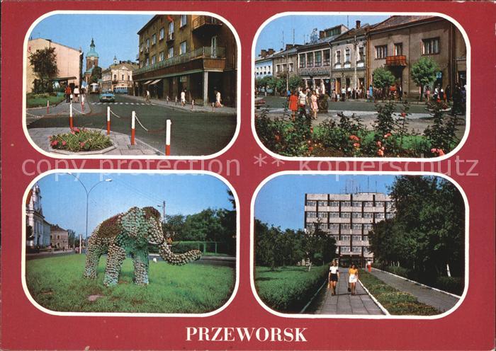 Przeworsk Widok z Rynku na ulice Koscielna Rynek Dekoracja roslinna ulicy Siedzi