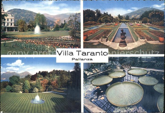Pallanza Lago Maggiore Villa Taranto Park