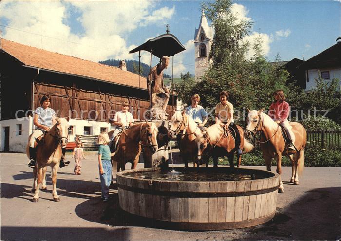 Serfaus Tirol Haflinger Antoniusbrunnen