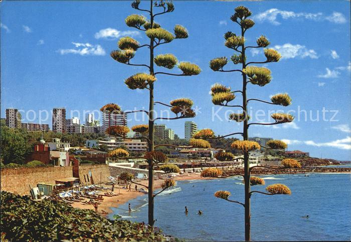 Benalmadena Costa Strand Panorama