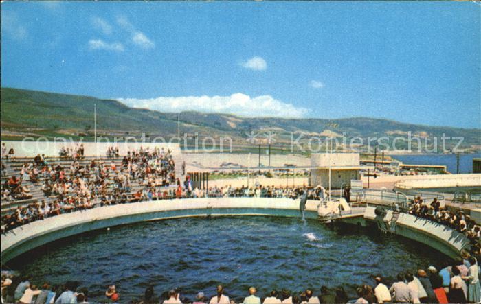 Palos Verdes Peninsula Porpoise Games Marineland Pacific
