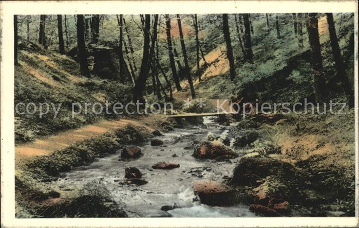 Echternach Hallerbach Promenade