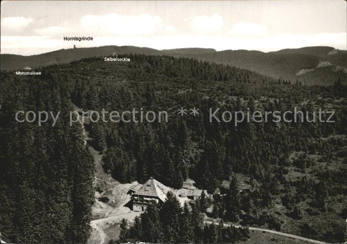 Ruhestein Darmstaedter Huette Hornisgrinde Mummelsee