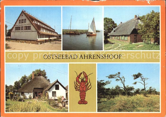 Ahrenshoop Ostseebad Niehagen Ferienheim Boddenblick Rohrdachhaus Althafen Hafen