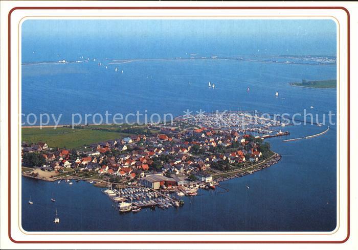 Maasholm Schleimuende