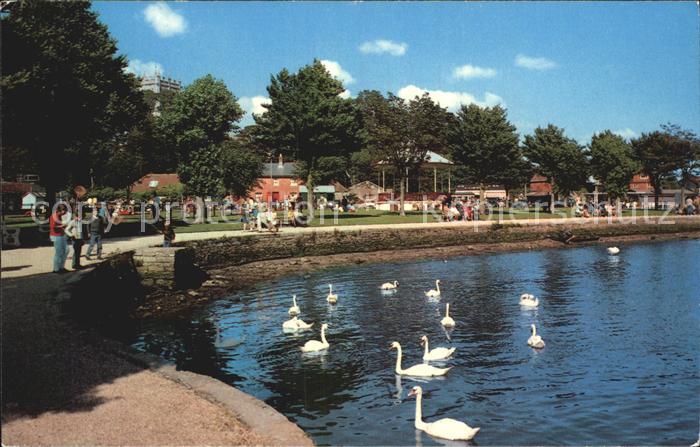 Christchurch Canterbury Teich Schwaene
