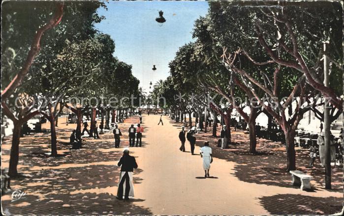 Bone Le Cours Bertagna