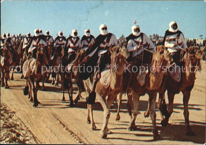 Tunesien Parade de Meharis