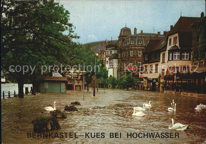 BERNKASTEL-KUES Berncastel Rheinland-Pfalz bei Hochwasser Moselufer Schwaene