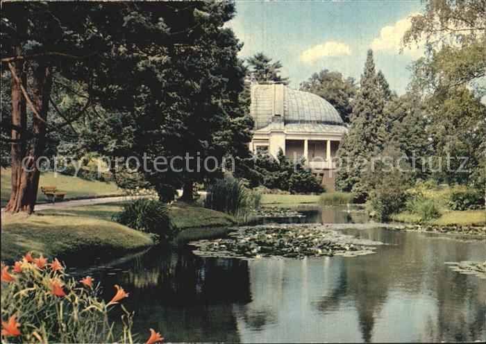 Bad Wildungen Seerosenteich