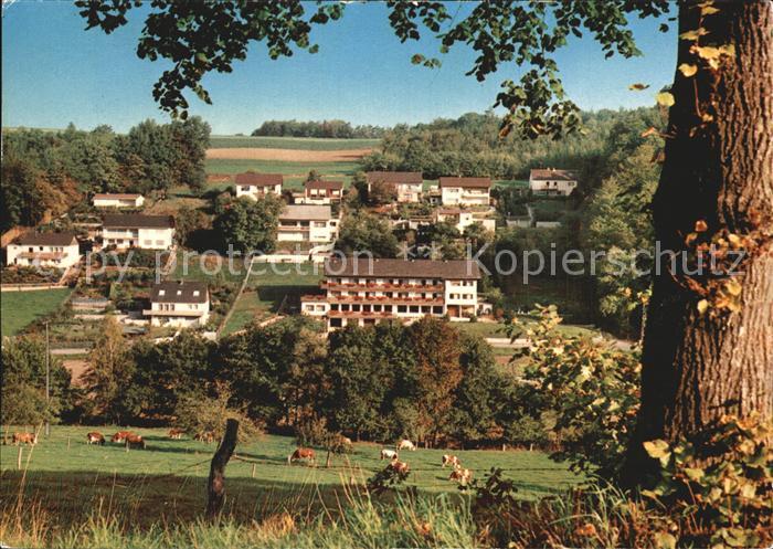 Hoechst Odenwald Waldhotel Forellenhof