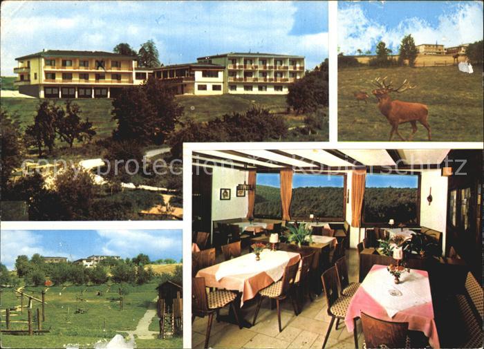 Schollbrunn Spessart Hotel Gasthof Benz Gastraum Wildgehege