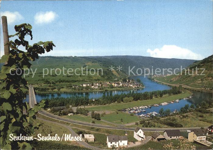 Senheim-Senhals Campingplatz Hollaendischer Hof Panorama