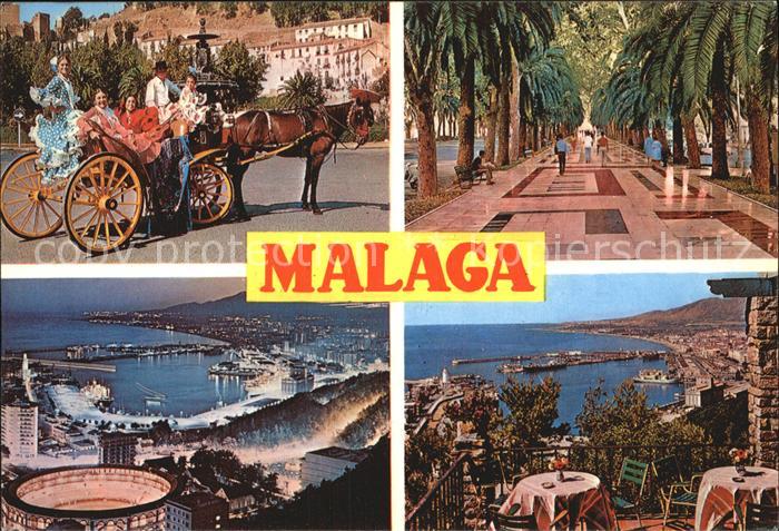 Malaga Andalucia Pferdekutsche Palmenallee Panorama Dachterrasse