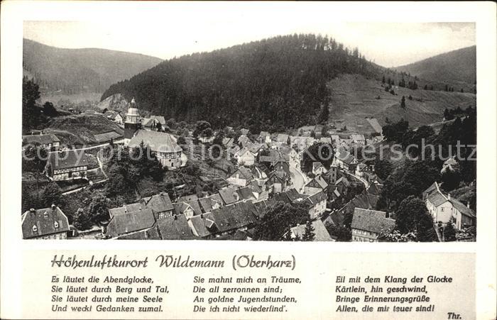 Wildemann Harz Goslar Niedersachsen Panorama Hoehenluftkurort Gedicht