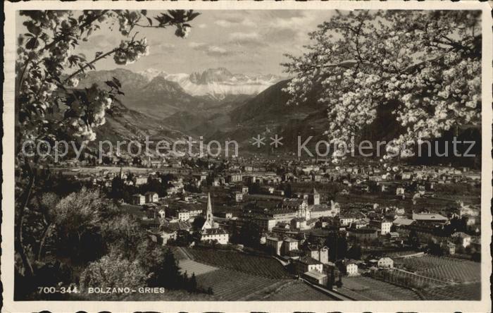 Gries-Quirein Bozen Panorama Alpen Baumbluete