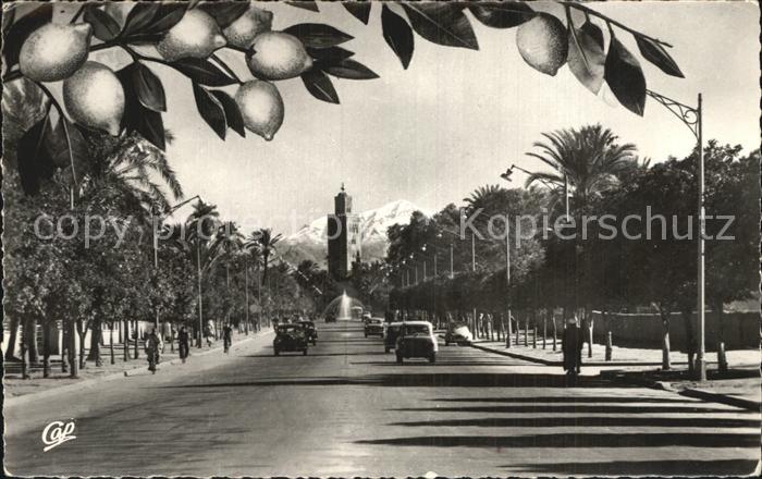 Marrakech Marrakesch Avenue Mohammed V la Koutoubia et l'Atl