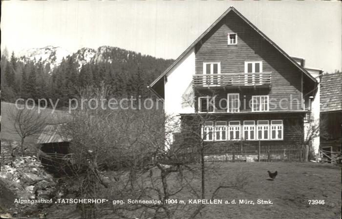 Kapellen Steiermark Alpengasthof Tatscherhof gegen Schneealpe