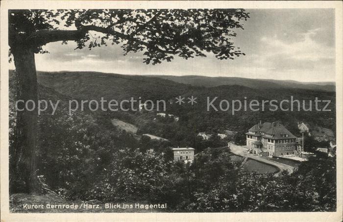 Gernrode Harz Panorama Blick ins Hagental