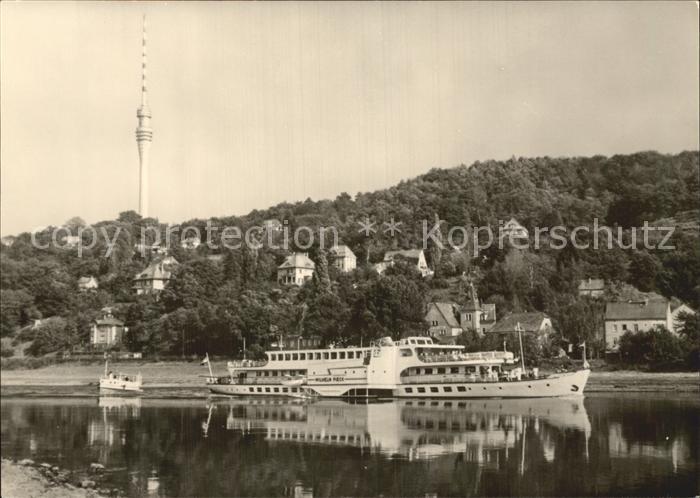 DRESDEN Elbe Blick vom Laubegaster Ufer zum Fernsehturm