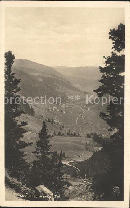 Menzenschwand Hotel und Kurhaus Hebelhof Feldberg