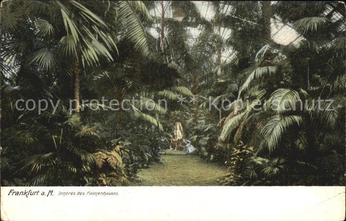 Frankfurt Main Palmenhaus innen