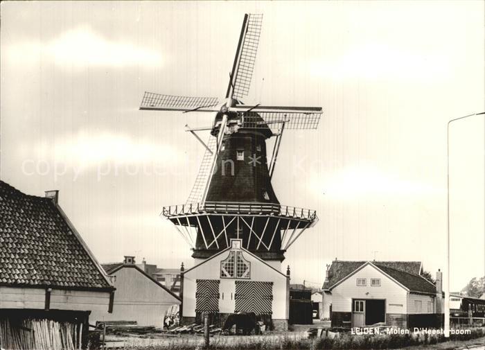 Leiden Windmuehle
