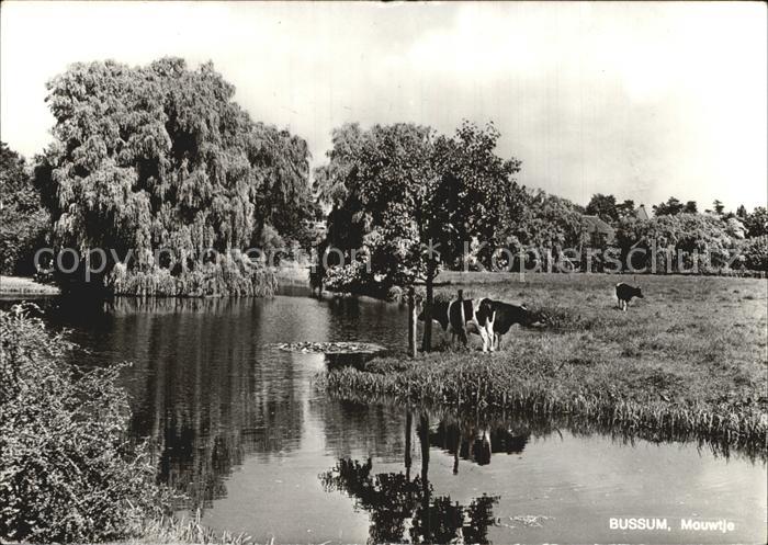 Bussum Mouwtje