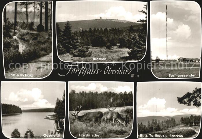 Torfhaus Harz Sendeturm Brocken Oderteich
