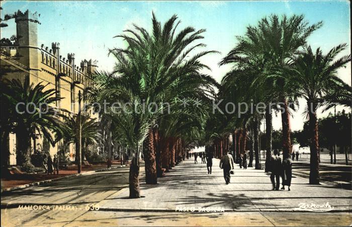 Palma de Mallorca Palmenallee