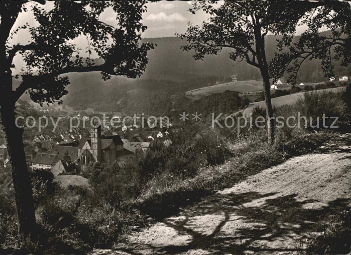 Alpirsbach Kur Klosterstadt