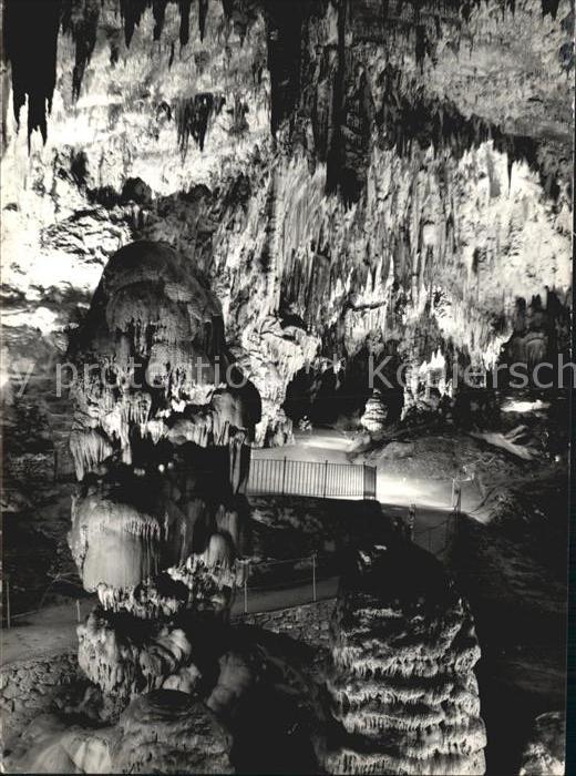 Postojnska Slowenien Tropfsteinhoehle