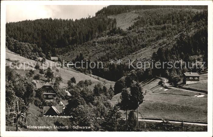 Seebach Ortenaukreis Hinterseebach