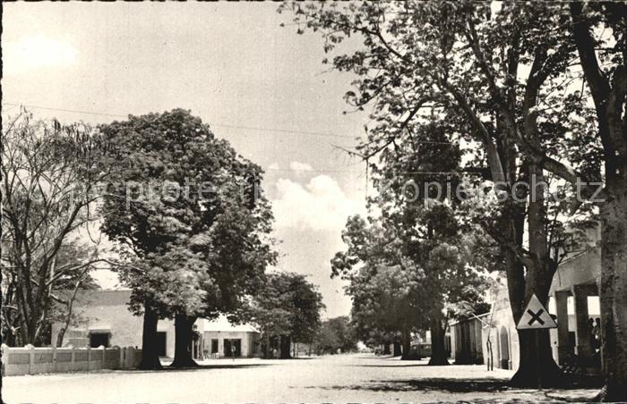 Tschad Tchad Fort Archambault Allee des Kapokiers