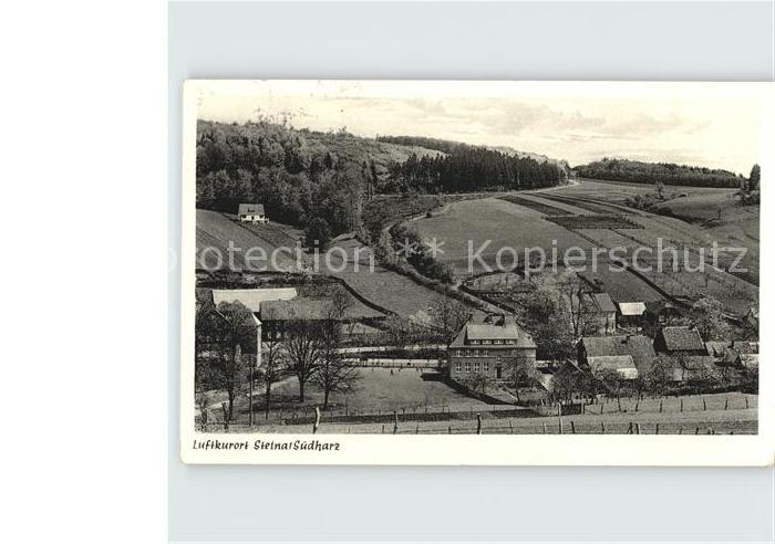 Steina Suedharz Ortsansicht