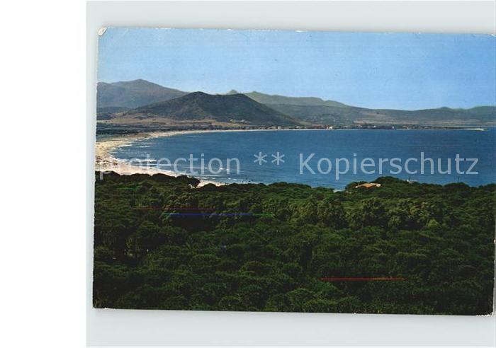 Sardegna Pineta di Santa Lucia Spiaggia La Caletta Siniscola