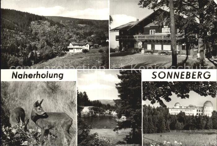 Sonneberg Thueringen Malschenalm-Blockhuette Koenigsee