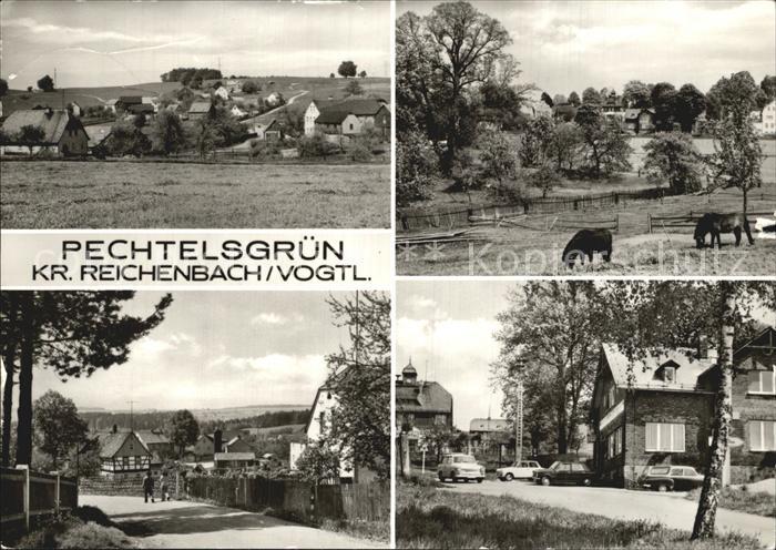 Reichenbach Vogtland Pechtelsgruen