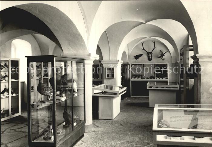 Olbernhau Erzgebirge Haus der Heimat