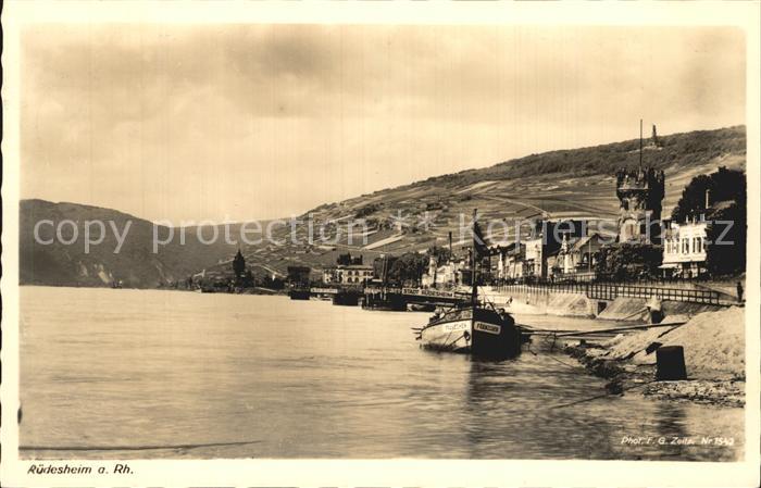 Ruedesheim Rhein Panorama