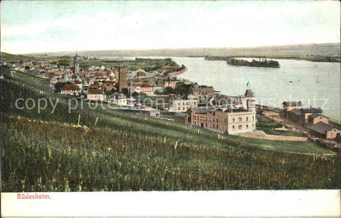 Ruedesheim Rhein Panorama