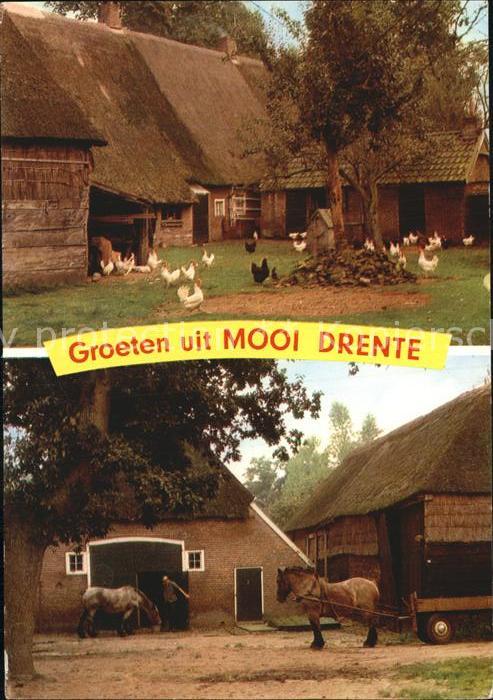 Mooi Drente Bauernhof Pferdewagen