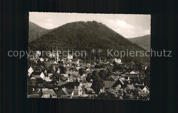 Bad Harzburg mit Burgberg