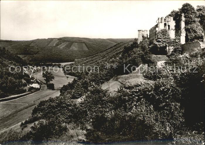 Altleiningen mit Burgruine an der Dt Weinstrasse