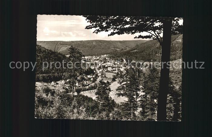 Bad Herrenalb Panorama