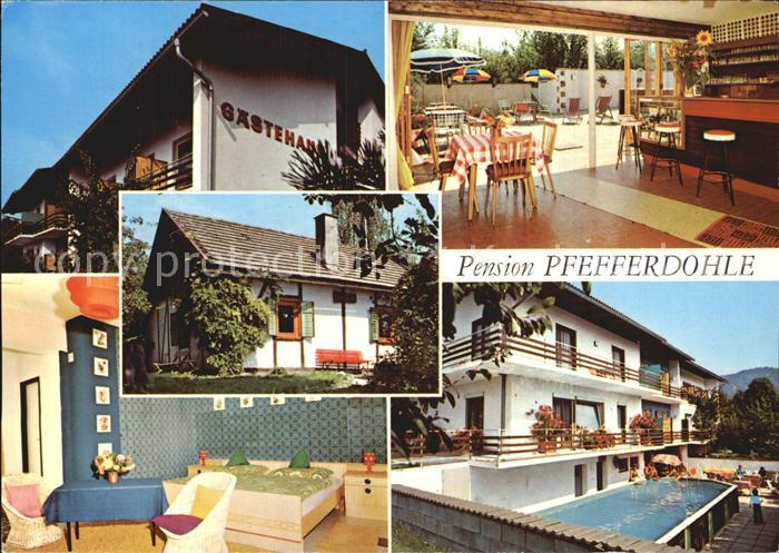 Velden Woerthersee Gaestehaus Pfefferdohle Bar Zimmer Swimmingpool