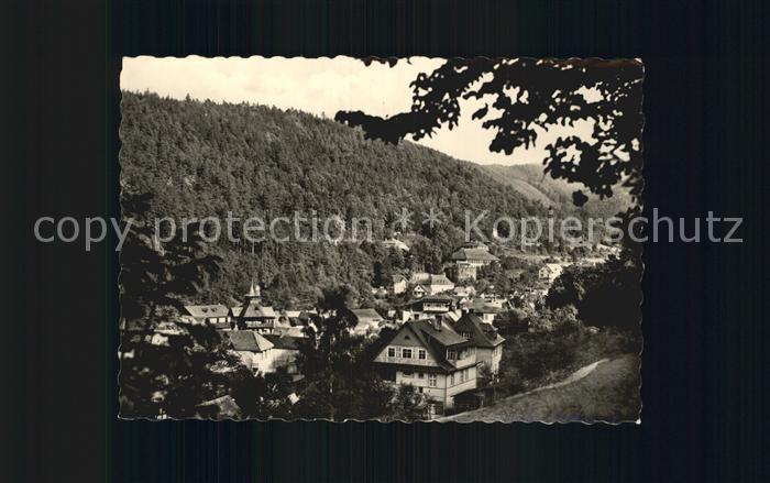 Schwarzburg Thueringer Wald Teilansicht Schlossaufgang