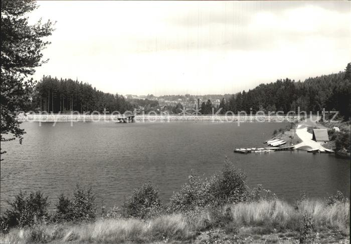 Falkenstein Vogtland See Panorama