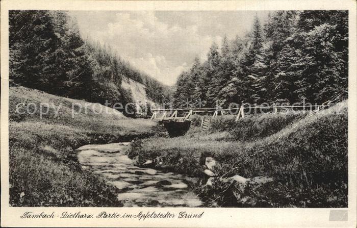 Dietharz Tambach Partie im Apfelstedter Grund Bachlauf Bruecke Wald