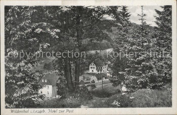Wildenthal Eibenstock Blick vom Waldrand zum Hotel zur Post
